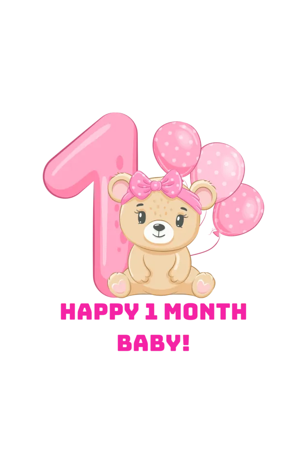 1 Month Celebration : Cute Bear Baby Romper For Your Baby Girl's Monthly Milestone!