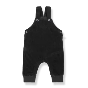 ADOLF-Anthracite