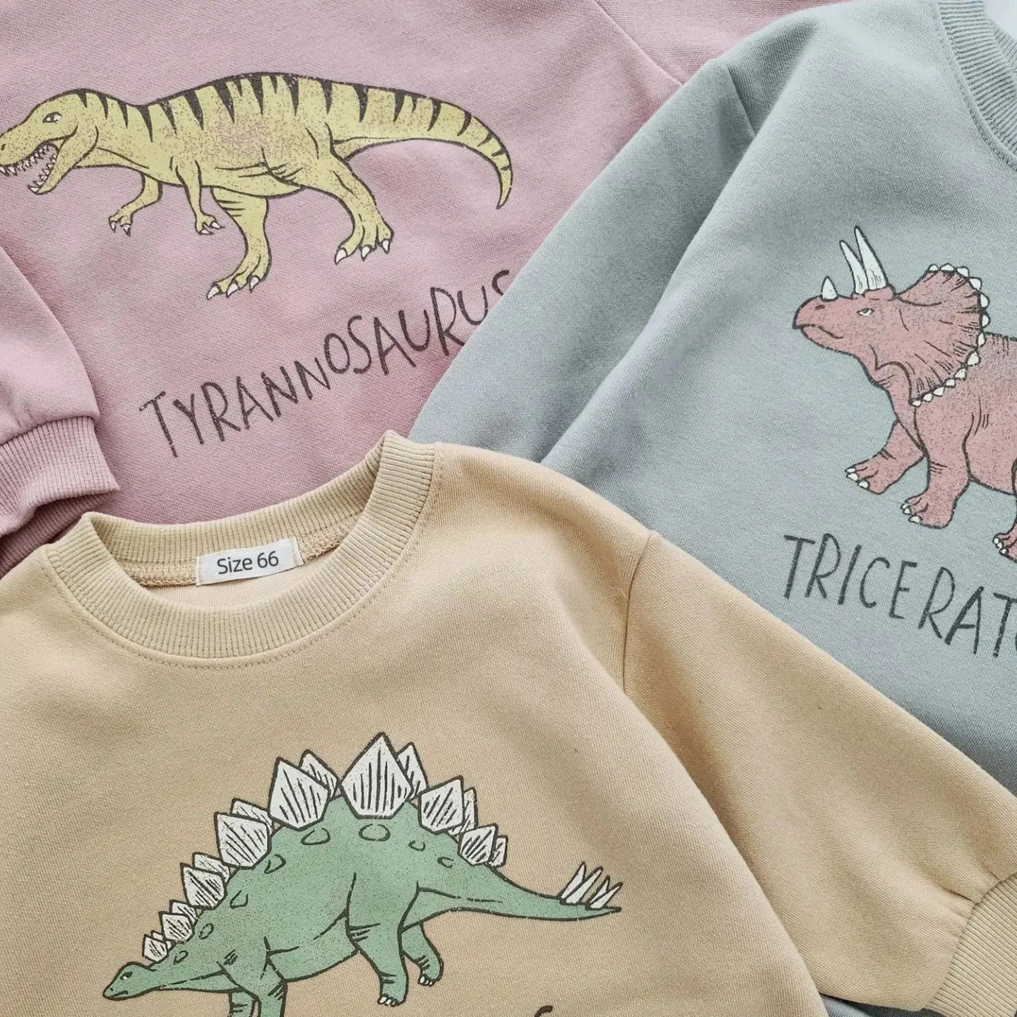 Baby Dinosaur Print Sweatshirt/Romper