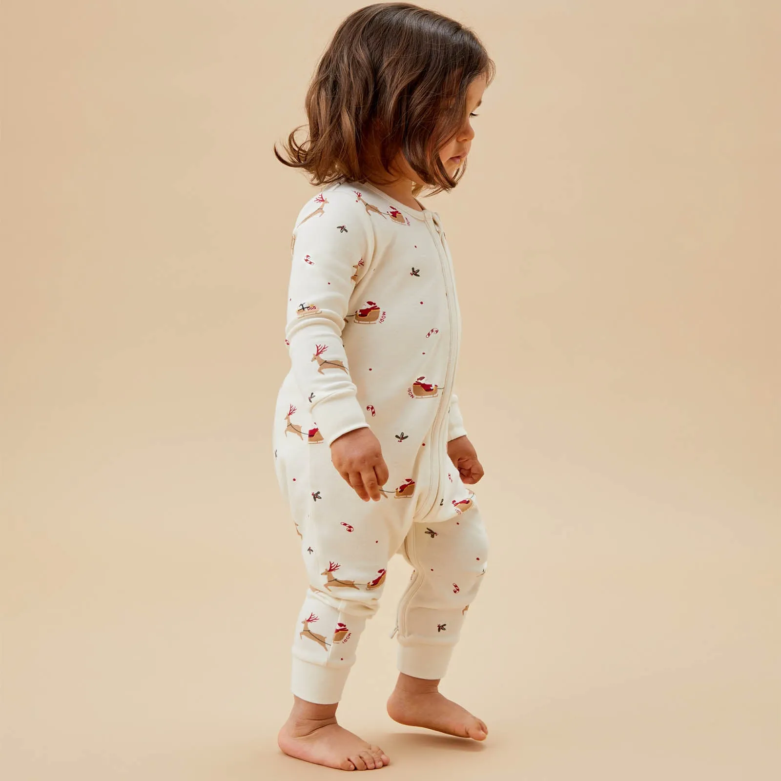 Christmas Clever Zip Sleepsuit 2 Pack