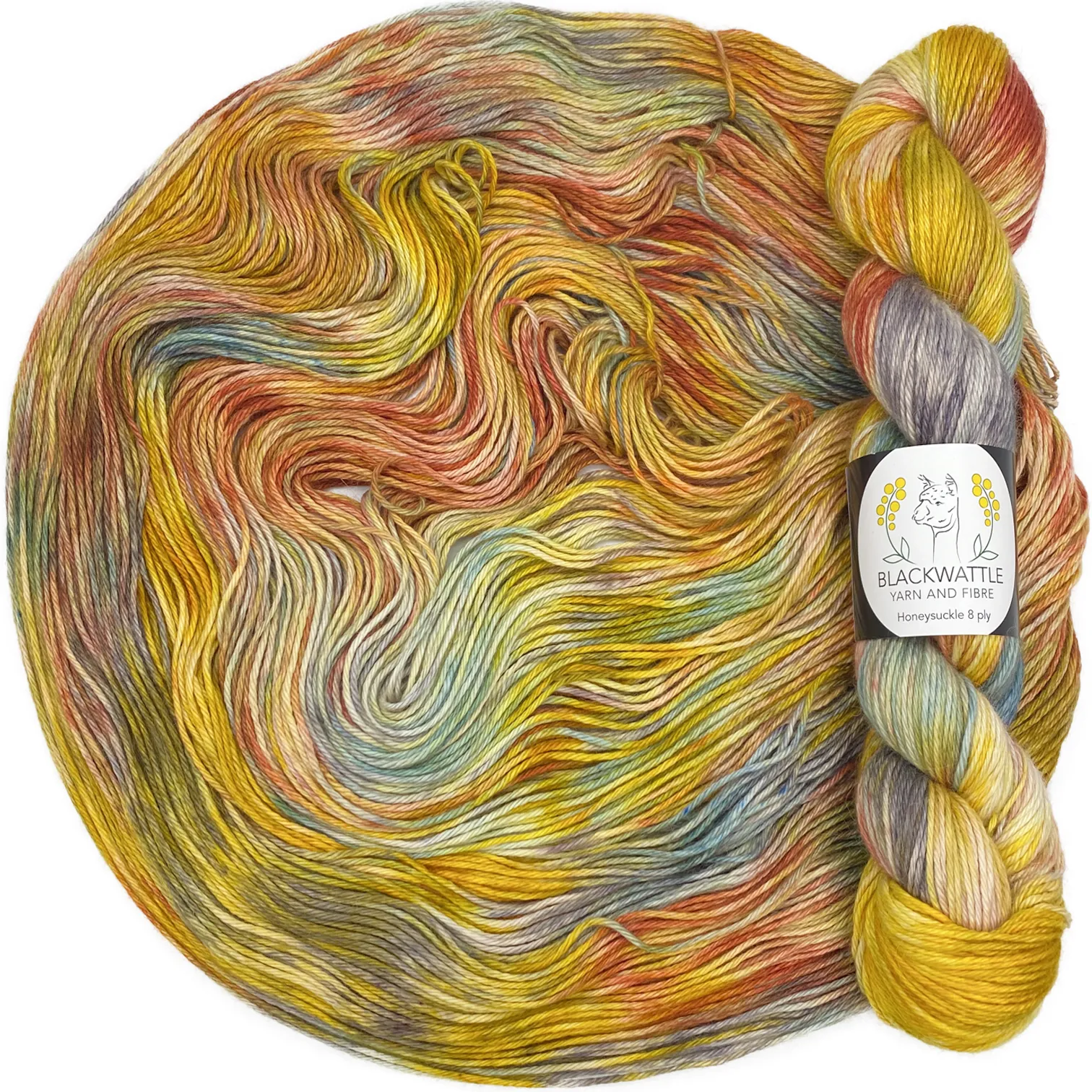 Honeysuckle (Variegated Colours)