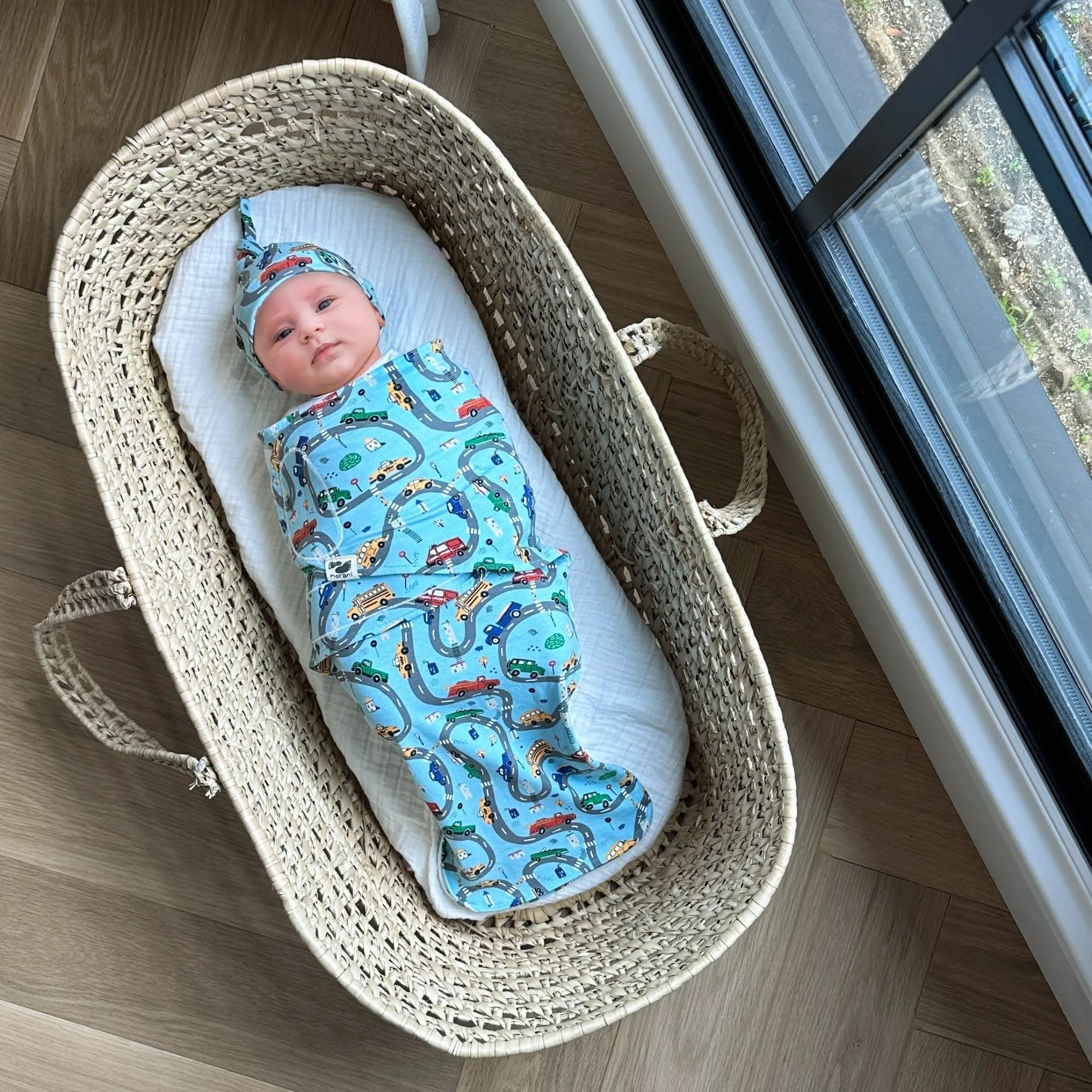 Organic Baby Beanie - Cars
